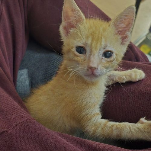 571226578_10224764428138288_7423792606325149670_n