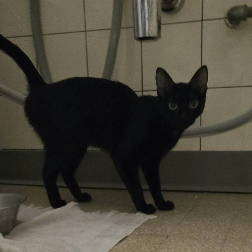 595504887_122204608502339483_2821601240971755628_n