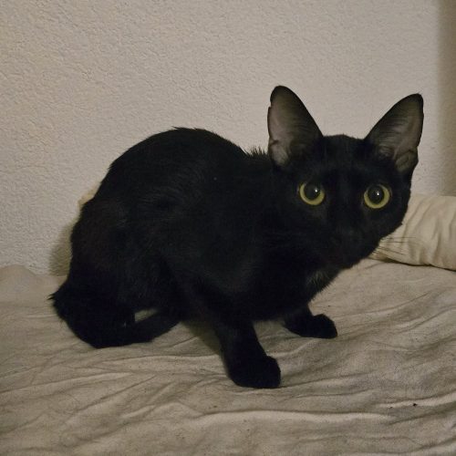 596324598_122204608586339483_6521052054544732217_n