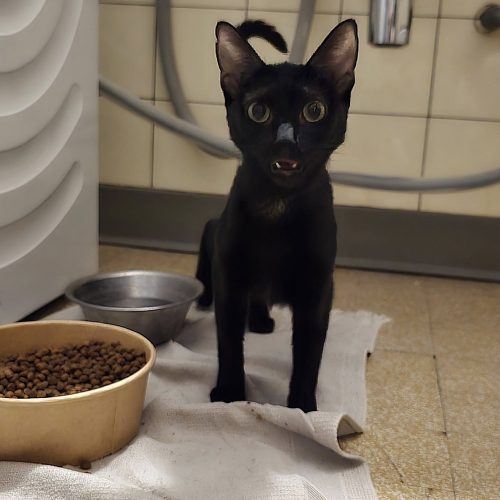 596404364_122204608538339483_4375139151527162679_n